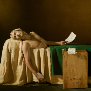 ดาวน์โหลดและฟังเพลง Bloodless พร้อมเนื้อเพลงจาก Andrew Bird