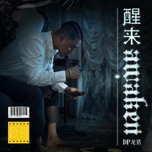 ดาวน์โหลดและฟังเพลง 醒来 (伴奏) พร้อมเนื้อเพลงจาก Dragon Pig