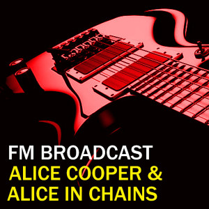收聽Alice In Chains的We Die Young (Live)歌詞歌曲