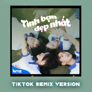 Album Tình Bạn Đẹp Nhất (TikTok Remix) from 