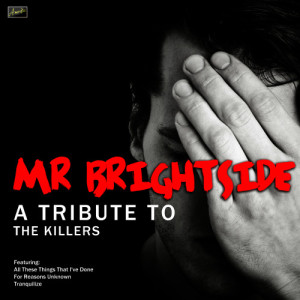 收聽Ameritz Tribute Tracks的Mr. Brightside歌詞歌曲