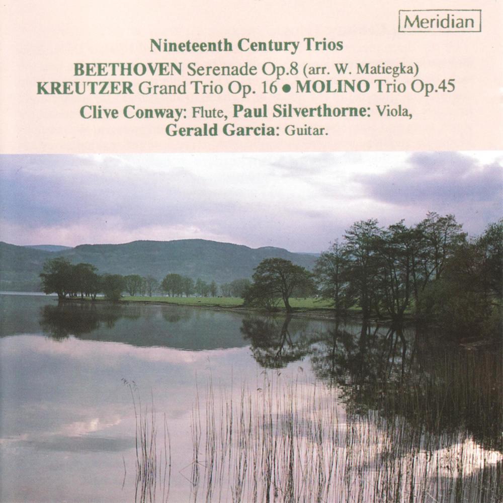 Serenade in D Major, Op. 8: VII. Marcia