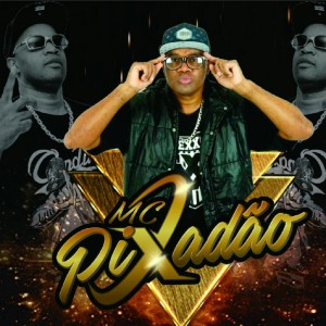 Mc Pixadão的專輯Vai Descendo Vai