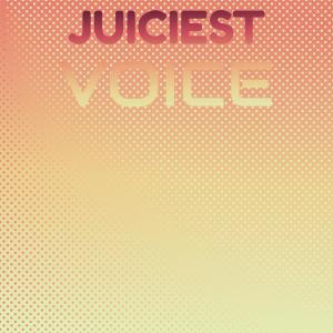 Juiciest Voice dari Various