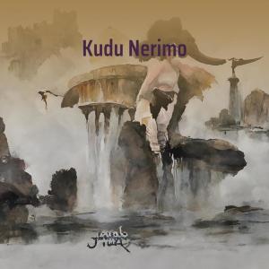 Listen to Kudu Nerimo song with lyrics from Hamz