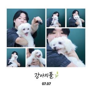 Album 강아지풀 from Kadi Korgi