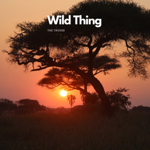 Album Wild Thing from The Troggs