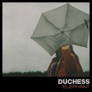 ดาวน์โหลดและฟังเพลง Elephant พร้อมเนื้อเพลงจาก Duchess
