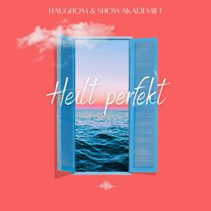 Listen to Heilt Perfekt song with lyrics from Haughom