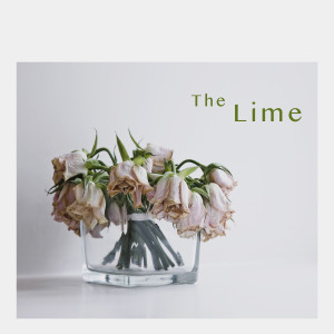 ดาวน์โหลดและฟังเพลง 헤어지고 돌아오는 길 พร้อมเนื้อเพลงจาก The lime