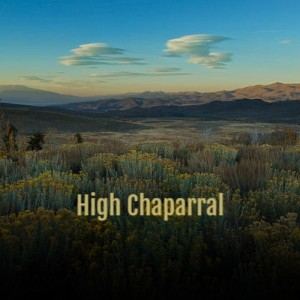 收听Al Caiola的High Chaparral歌词歌曲