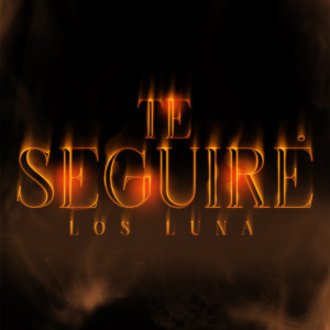 อัลบัม Te Seguiré ศิลปิน 