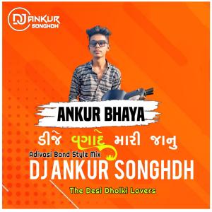 Listen to Ankur Bhaya Dj Vagade Mari Janu song with lyrics from The Desi Dholki Lovers