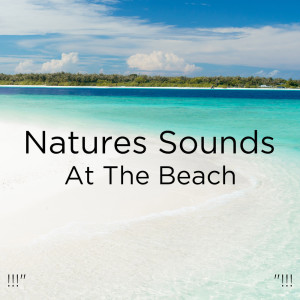 ดาวน์โหลดและฟังเพลง Sound Of Rain For Sleep พร้อมเนื้อเพลงจาก Yoga