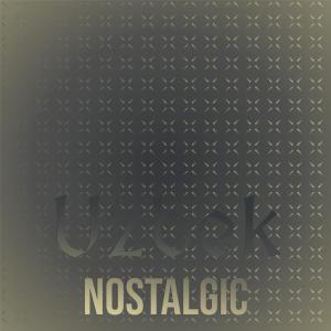 Album Uzbek Nostalgic from Various