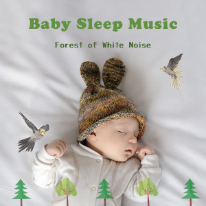 寶寶睡眠音樂 鋼琴與豎琴 白噪音之森