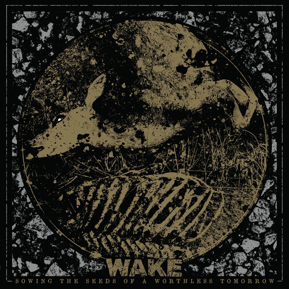 Endless Decay (Reissue)