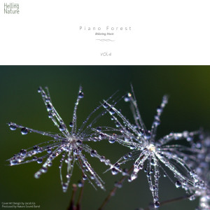 Album Piano Forest, Vol. 4 oleh Nature Sound Band