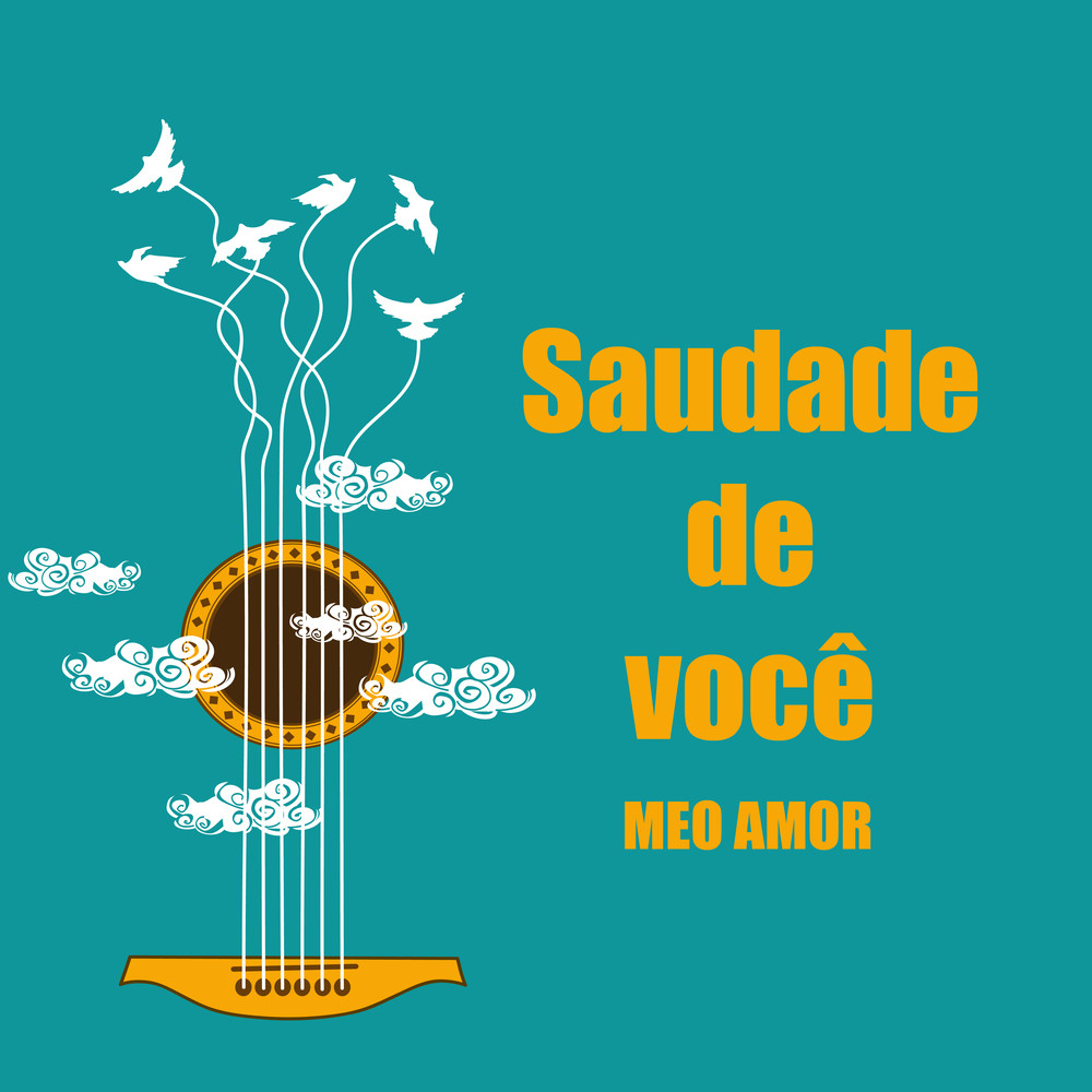 O Bebado E A Equilibrista