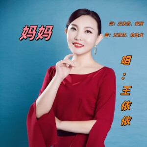 Album 妈妈DJ from 