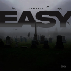 Album EASY (Explicit) from Armanii