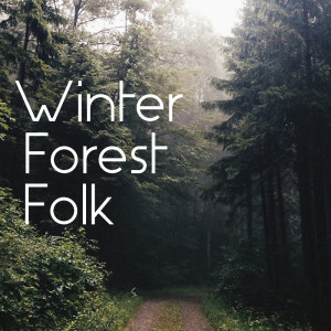 Winter Forest Folk dari Various Artists
