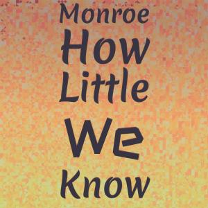 Silvia Natiello-Spiller的專輯Monroe How little we know