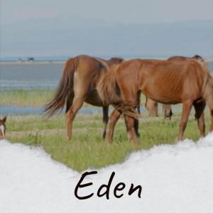 Listen to Western song with lyrics from Edme Tuen