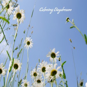 Listen to Calming Daydream song with lyrics from Angie Hawke