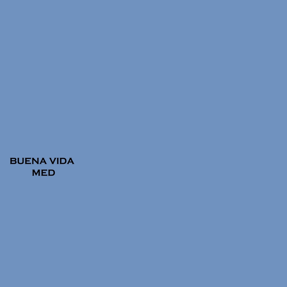 Buena Vida