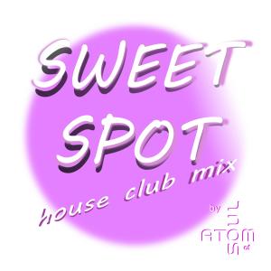 Listen to Sweet Spot (House Club Mix) song with lyrics from Atom of Soul