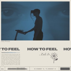 ดาวน์โหลดและฟังเพลง How to Feel พร้อมเนื้อเพลงจาก Zuli Jr.