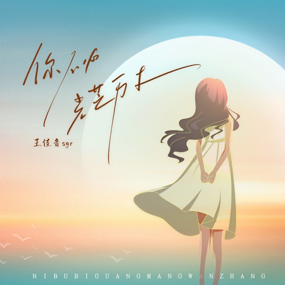 你不必光芒万丈 (live合唱版)