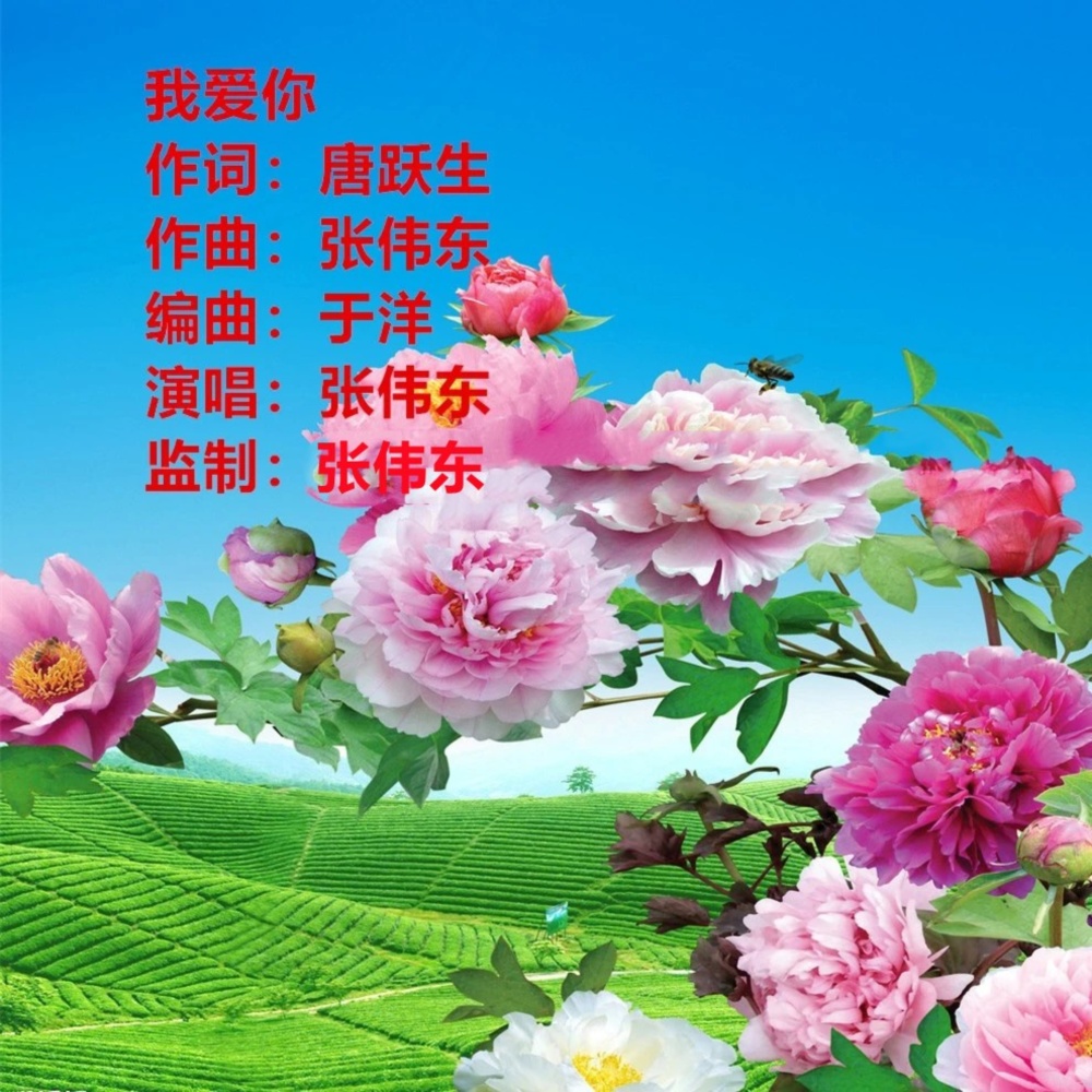 我爱你   （男声版一） (完整版)