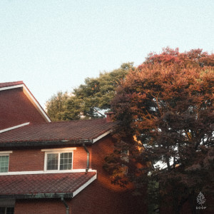 Album Piano Playlist 17 from 피아노의 숲