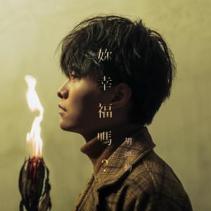 Listen to 你幸福吗？ song with lyrics from Hubert Wu (胡鸿钧)