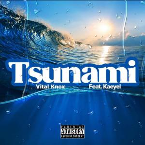 อัลบัม Tsunami (Explicit) ศิลปิน Vital Knox