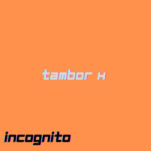 อัลบัม tambor x ศิลปิน Incognito