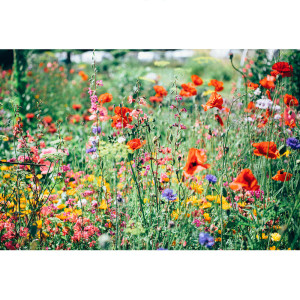 ดาวน์โหลดและฟังเพลง 천천히 흐른다 พร้อมเนื้อเพลงจาก 피아노 스케치