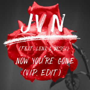 Album now you're gone (VIP Edit) (Explicit) from J V N