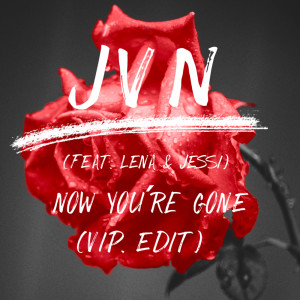 Listen to now you're gone (VIP Edit|Explicit) song with lyrics from J V N