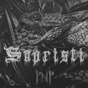Album Sapristi (Explicit) from PNP