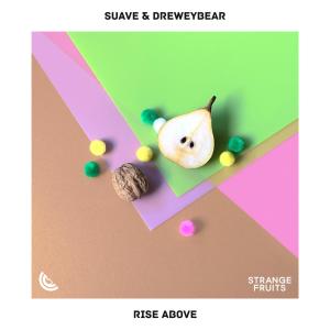 Listen to Rise Above song with lyrics from Suave