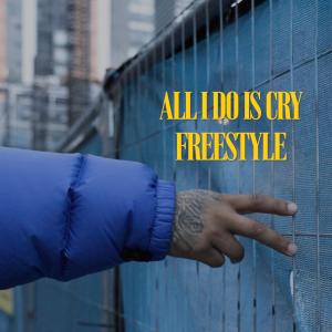 Album All I Do Is Cry Freestyle (Explicit) oleh Amari