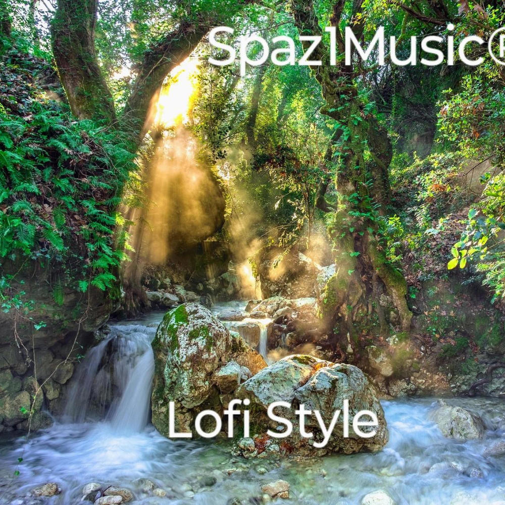 Spaz1Music Lofi Style