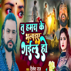 Listen to Tu hamra ke bhulaiye gailu hu song with lyrics from Dinesh Raj