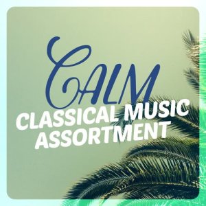 Calm Music for Studying的專輯Calm Classical Music Assortment