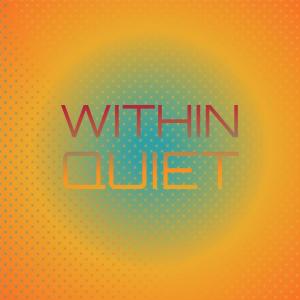 Various Artists的專輯Within Quiet