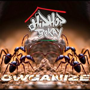 HipHop Bokay的專輯OWGANIZE