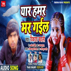 ดาวน์โหลดและฟังเพลง Yaar Hamar Mar Gail พร้อมเนื้อเพลงจาก Vikash Bawali